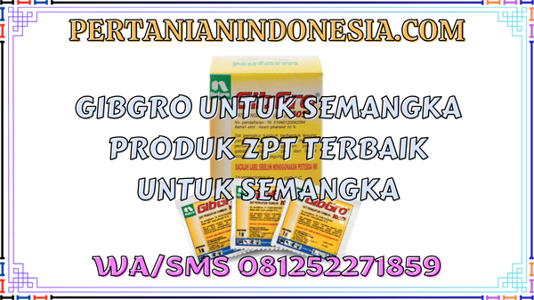 Gibgro Untuk Semangka Produk ZPT Terbaik Untuk Semangka
